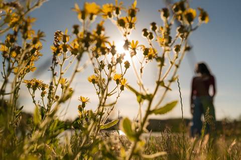 ensaio de 15 anos - fotografia debutante - ensaio feminino - fotografia autoral - ensaio ao ar livre - ensaio em vinícola - Vinícola Nardello - fotografia de 15 anos - debutante com personalidade - fotógrafo de 15 anos - book dos 15 anos - ensaio externo'