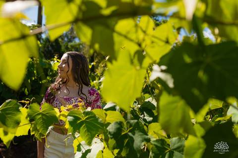 Ensaio 15 anos Diulya - debutante - fotografia de 15 anos - ensaio externo - Chácara Família Fiss - debutante Pelotas - fotógrafo Pelotas - fotografia luz natural - expectativa dos 15 anos - Antonio Rocha Fotografias - fumaça colorida - balão de 15 anos'