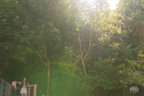 Ensaio 15 anos Diulya - debutante - fotografia de 15 anos - ensaio externo - Chácara Família Fiss - debutante Pelotas - fotógrafo Pelotas - fotografia luz natural - expectativa dos 15 anos - Antonio Rocha Fotografias - fumaça colorida - balão de 15 anos'