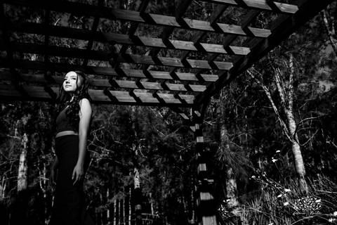 Ensaio 15 anos Diulya - debutante - fotografia de 15 anos - ensaio externo - Chácara Família Fiss - debutante Pelotas - fotógrafo Pelotas - fotografia luz natural - expectativa dos 15 anos - Antonio Rocha Fotografias - fumaça colorida - balão de 15 anos'