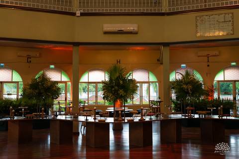 recepção de formatura medicina - festa formatura ucpel - centro português pelotas - fotógrafo formatura pelotas - decoração recepção formatura - chegada do formando - pista de dança formatura - brinde medicina - antonio rocha fotografias - fenadoce'