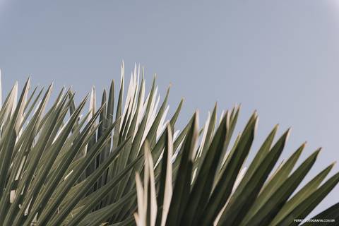 '