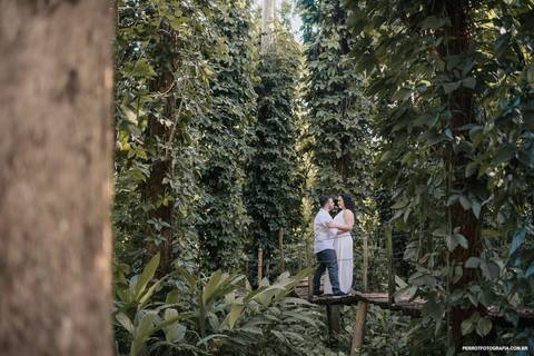 ensaio pre casamento ponte eden garden'