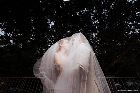 fotos com noivos no véu'