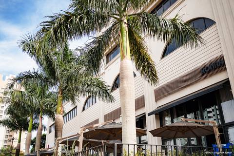 casamento restaurante honra maringa'