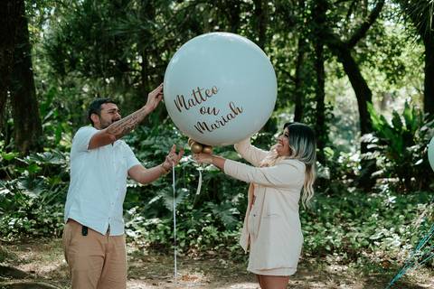 ensaio de revelação do bebe
'