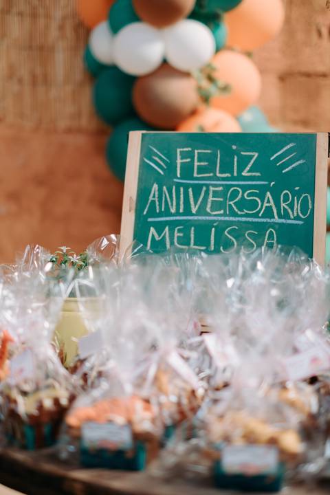 festa fazendinha infantil
'