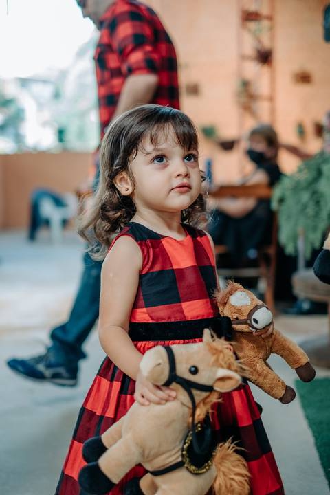 festa fazendinha infantil
'