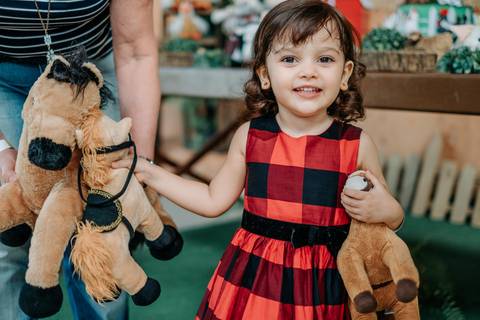 festa fazendinha infantil
'