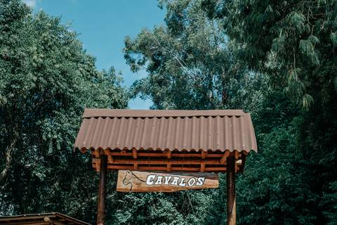foto e video festa infantil em santos'