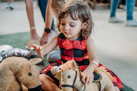 foto e video festa infantil em sp'