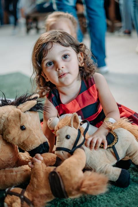 foto e video festa infantil em sp'