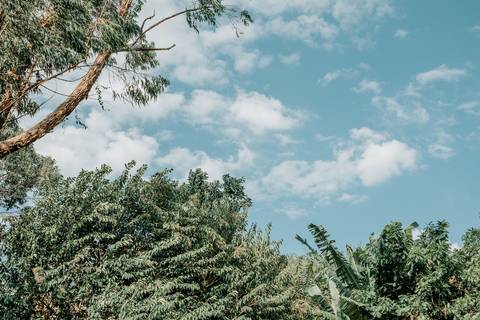 foto e video festa infantil em sp'