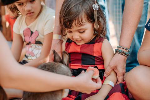 foto e video festa de criança
'