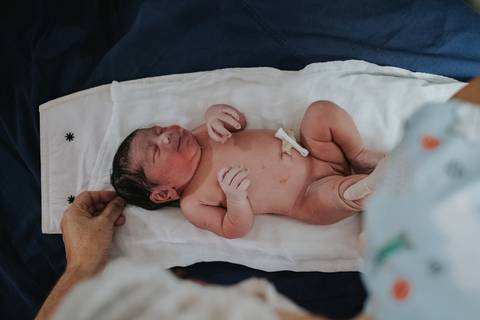 parto domiciliar sp
'