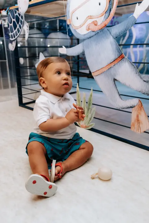 festa de 1 ano de menino
'