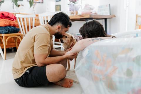 parto em casa com presença de pet'
