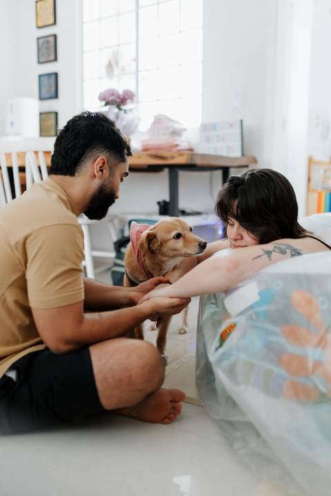 sessão de parto domiciliar com pet participando'