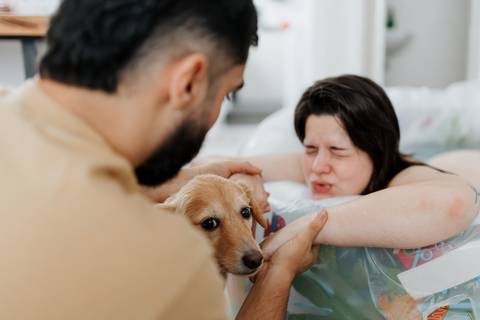 parto domiciliar normal na piscina com pet'