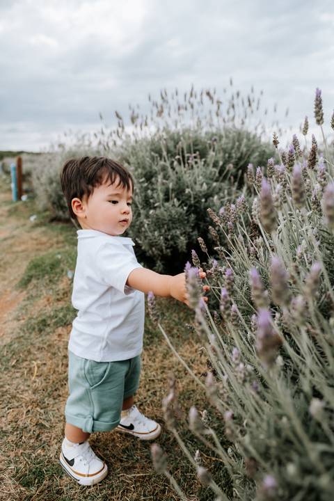 foto acompanhamento 1 ano com lavandas'