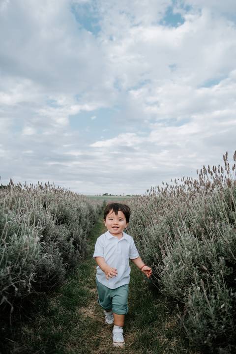 retrato de acompanhamento de 1 ano com lavandas em Holambra'