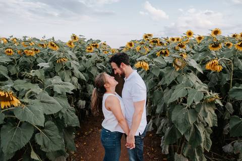 ensaio de casal em campo de girassóis'