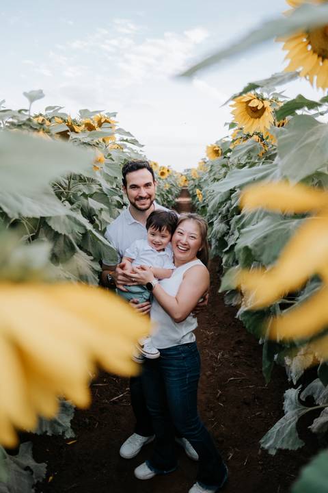foto acompanhamento ao ar livre em campo de girassóis em Holambra'