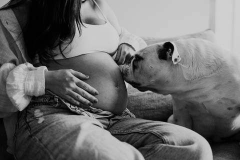 fotos de gentante com pet em preto e branco'