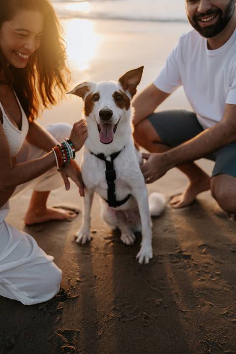 Foto aproximada do cachorro da família no ensaio gestante.'