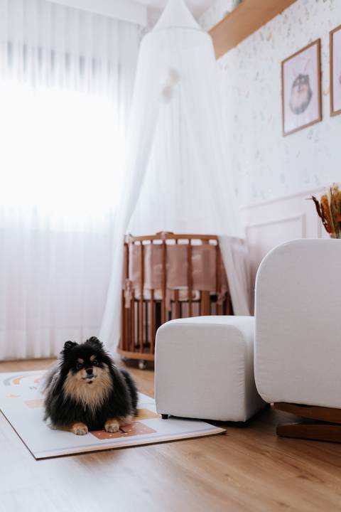 Foto do cão da família espiando ao lado do berço do bebê.'