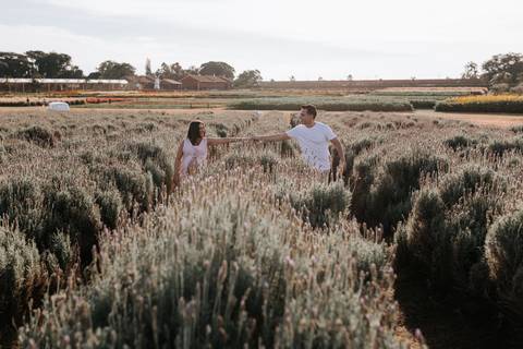 Foto do casal de mãos dadas caminhando entre as fileiras de lavanda.'