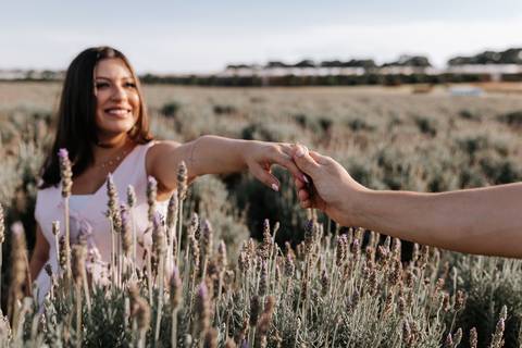 Foto em perspectiva da mão do pai puxando delicadamente a mão da gestante.'