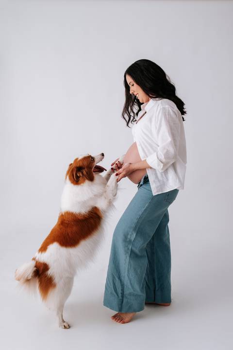 Foto da gestante brincando com o cão de estimação no estúdio.'