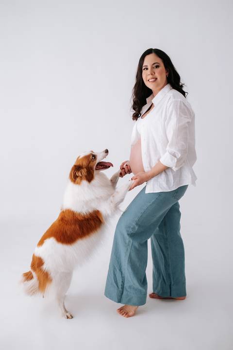 Foto do cão apoiando as patas na barriga da gestante.'