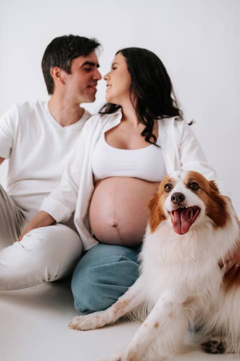 Foto aproximada do cão ao lado da barriga da gestante.'
