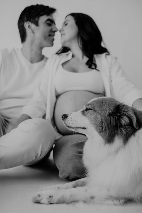 Foto em preto e branco do cão encostado na barriga da gestante.'