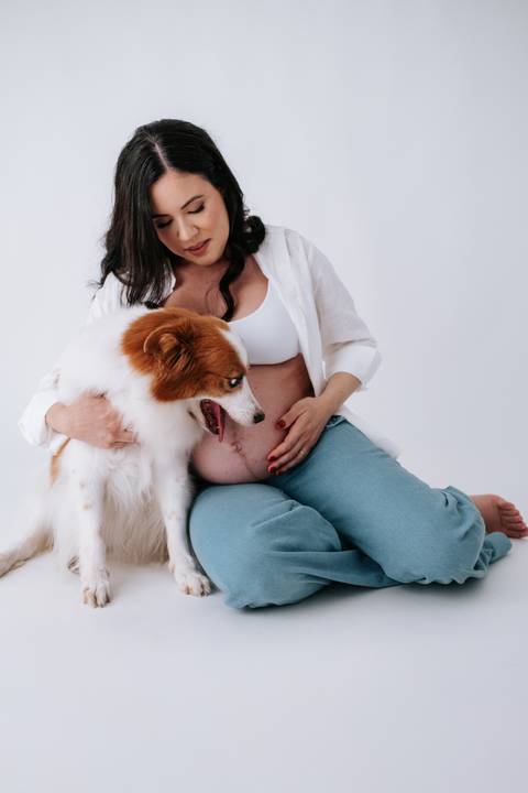 Foto aproximada do cão olhando para a barriga da gestante.'