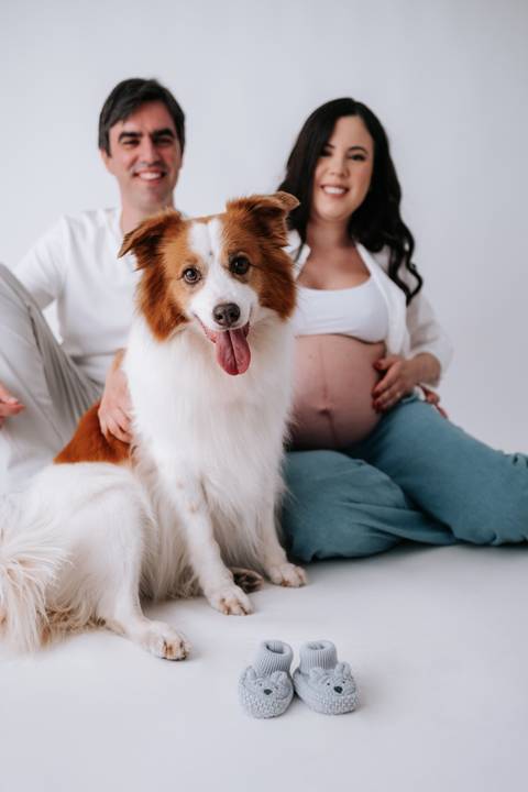 Foto aproximada do cão em destaque com o casal ao fundo.'