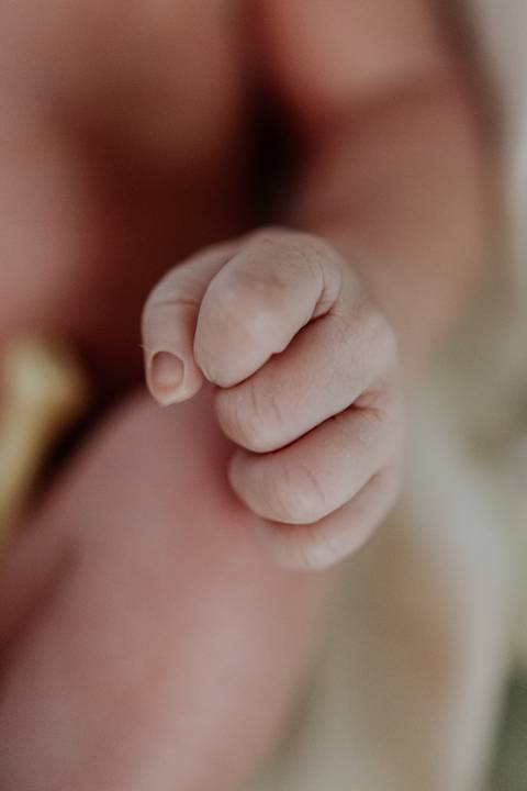 Foto em macro da mãozinha fechada da recém-nascida.'