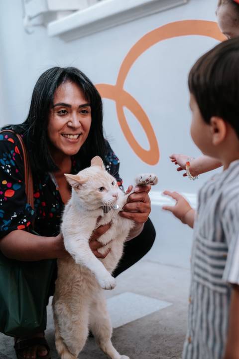 Foto do aniversariante curioso interagindo com um gatinho.'
