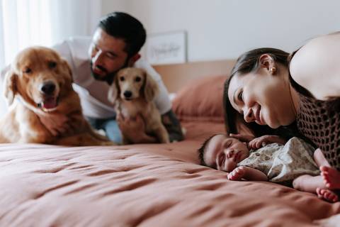 Foto panorâmica da família e pets juntos na cama.'