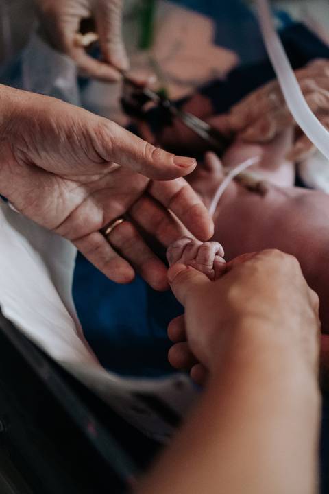 Foto em detalhe do toque delicado entre as mãos dos pais e a mão do bebê.'