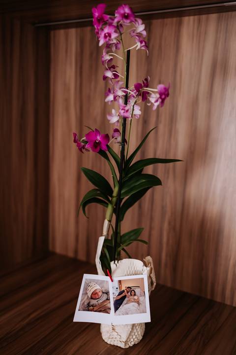 Foto de detalhe de uma orquídea rosa decorando o ambiente da casa.'