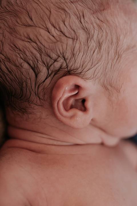 Detalhe em close da orelhinha e do perfil de um dos recém-nascidos.'