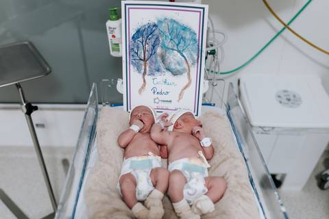 Foto dos gêmeos juntos no berço hospitalar móvel, com a arte da placenta (Árvore da Vida) ao fundo.'
