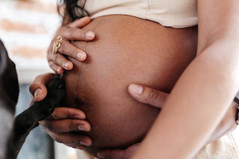 Close focado na barriga exposta da gestante, envolvida pelas mãos do casal e pela patinha preta do cachorro de estimação da família.'