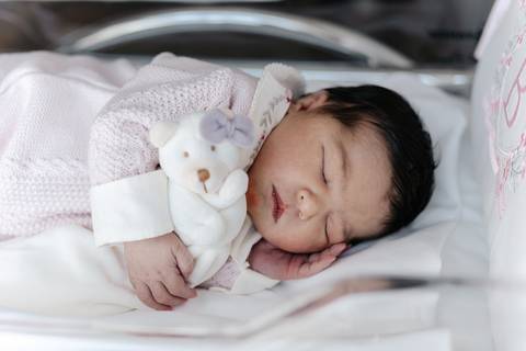 Bebê recém-nascido adormecido no berço do hospital segurando um ursinho de pelúcia.'