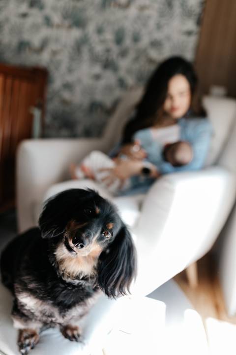 Bebê e pet da família juntos em um registro cheio de carinho.'