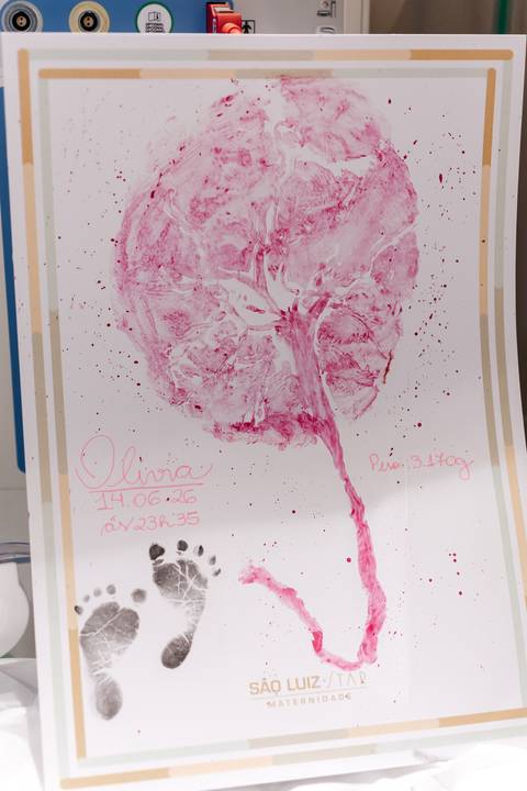 Carimbo em papel da árvore da vida feito com a placenta.'