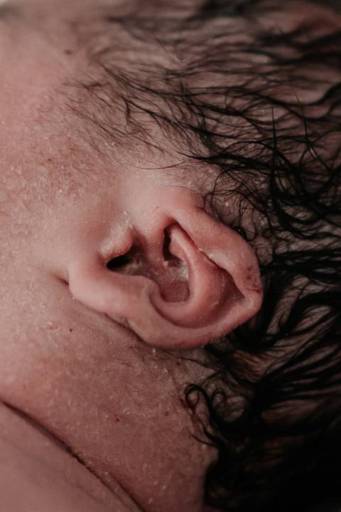 Detalhe macro da orelhinha e do cabelo úmido do bebê recém-nascido.'